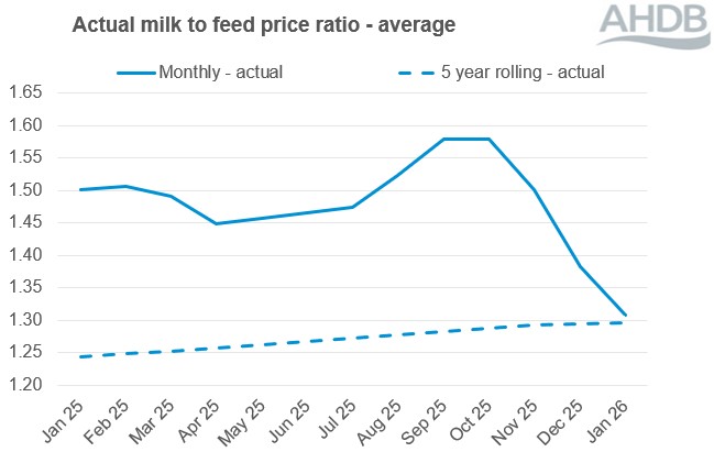 Milk to feed price ratio line graph to Jan 26. 
